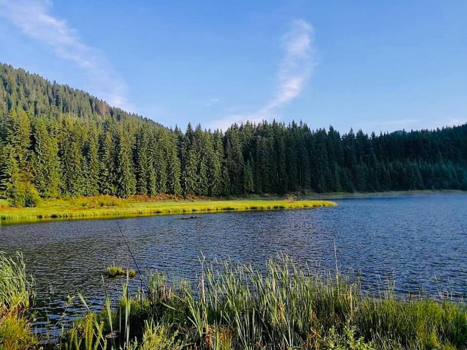 Deer Lake 521 At Oak Residence Hotel & Relax سموليان المظهر الخارجي الصورة